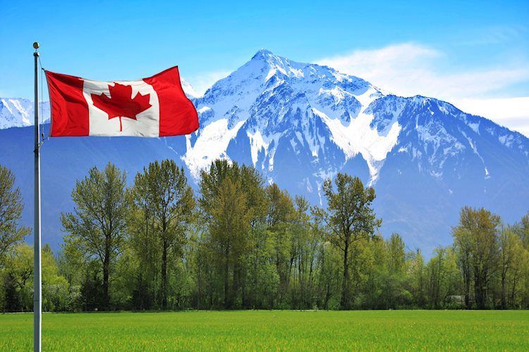 加拿大:通胀率将低于加拿大央行第四季度同比7.1%的预期-道明证券