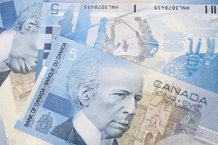 加元在2023年表现将好于美元——加拿大国家银行